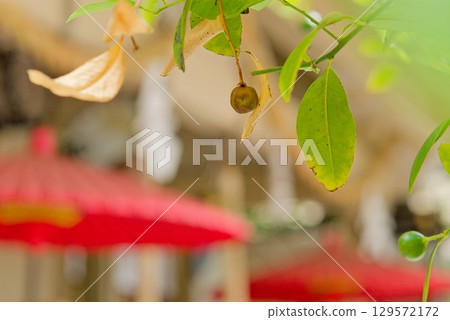 Heartfelt wishes 129572172