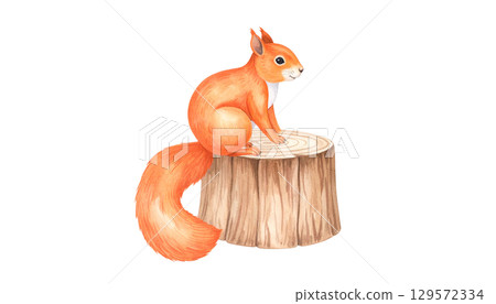 Autumn image material: Watercolor illustration of a squirrel sitting on a stump 129572334