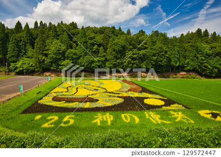 This year's rice field art Kashizu 129572447