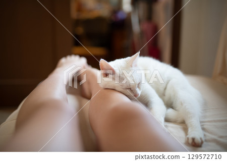 Cat sleeping with owner's feet as pillow Cat sleeping with owner's feet as pillow 129572710