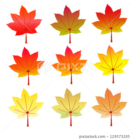 Set of colorful maple leaves to decorate autumn Set of colorful maple leaves to decorate autumn 129573285