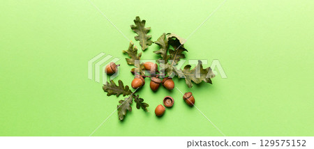 Branch with green oak tree leaves and acorns on colored background, close up top view 129575152