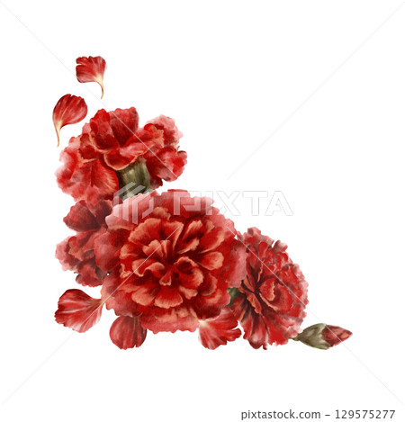 Red carnation flower,buds,petals in corner frame as a symbol of mothers day,love,passion,valentine's day confessions.Isolated Watercolor hand-drawn illustration as element for card,banner Red carnation flower,buds,petals in corner frame as a symbol of mothers day,love,passion,valentine's day confessions.Isolated Watercolor hand-drawn illustration as element for card,banner 129575277