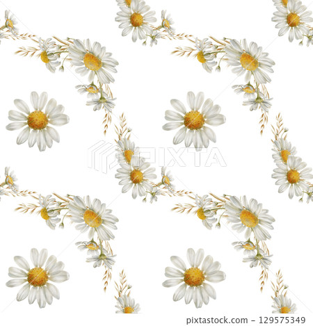Seamless pattern with white chamomiles flowers,buds,dried flowers,petals as a symbol of purity,inocence,love,fidelity.Watercolor clip art on transparent background for postcards,calendar,stationery 129575349