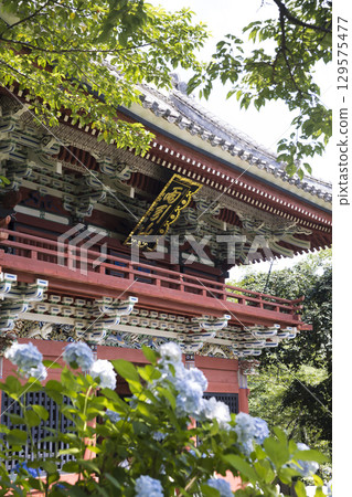 The Ammon of the Amoniki Kannon 129575477