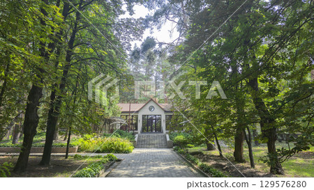 Park area with tall pine trees and the road to the house. Tourist recreation. Park area with tall pine trees and the road to the house. Tourist recreation. 129576280