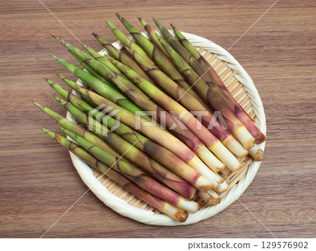 生竹筍 生竹筍 129576902