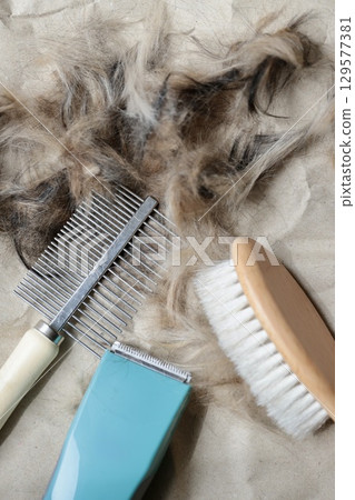 Self-cut dog hair at home and grooming supplies 129577381