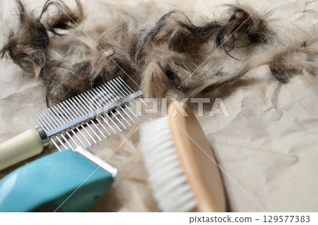 Self-cut dog hair at home and grooming supplies Self-cut dog hair at home and grooming supplies 129577383