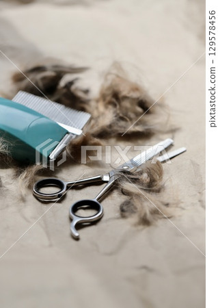 Self-cut dog hair at home and grooming supplies Self-cut dog hair at home and grooming supplies 129578456