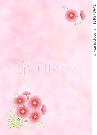 Cosmos Background〈Postcard〉 B-2 129578641