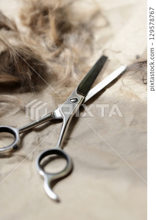 在家自己修剪狗毛和打薄剪刀 在家自己修剪狗毛和打薄剪刀 129578767