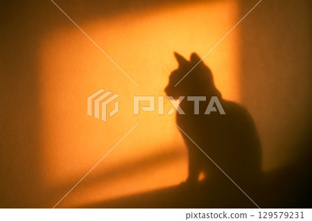 Mysterious shadow of cat sitting on surface, cast by warm golden light from window, creating dramatic and cozy home scene Mysterious shadow of cat sitting on surface, cast by warm golden light from window, creating dramatic and cozy home scene 129579231