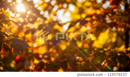 Abstract autumn background with golden sunlight shining through blurred leaves, beautiful fall season bokeh with lens flare and warm colors 129579237