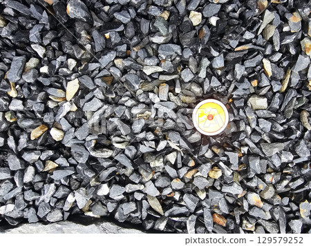 Termite Detection Sensor on Flake Stone Ground. 129579252