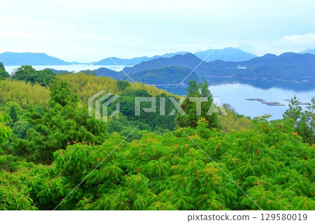五月下旬,瀨戶內景色鬱鬱蔥蔥 五月下旬,瀨戶內景色鬱鬱蔥蔥 129580019