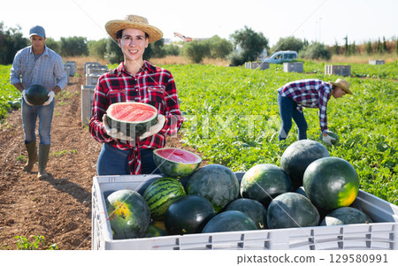 Happy woman farmer with half a watermelon in her hands posing in farmer field 129580991