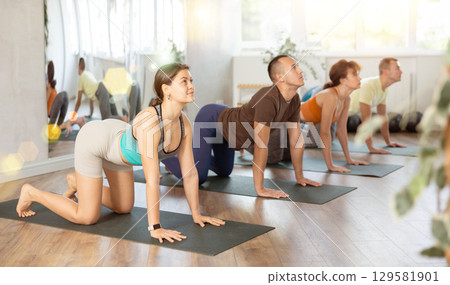 Young woman practicing group yoga with group sports people, doing cat cow pose Chakravakasana increasing flexibility of neck, shoulders and spine. Concept of active lifestyle 129581901
