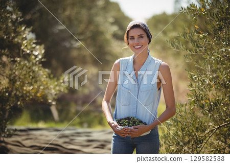 Hispanic woman standing in olive grove holding olives with harvest net behind wearing denim shirt 129582588