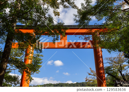 Torii gate in Higashiyama Kyoto with trees and sunlight Torii gate in Higashiyama Kyoto with trees and sunlight 129583636