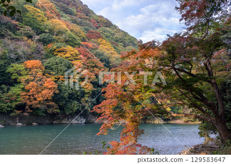 Autumn hillside meets Katsura River in Arashiyama Kyoto 129583647