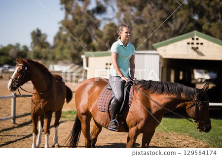 Adult female rider riding chestnut horse inside paddock wearing English saddle, bridle and reins 129584174