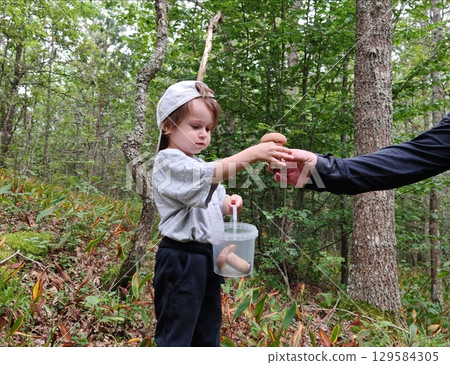 Children walking in the forest and gather mushrooms. happy child is picking mushrooms in the forest Children walking in the forest and gather mushrooms. happy child is picking mushrooms in the forest 129584305