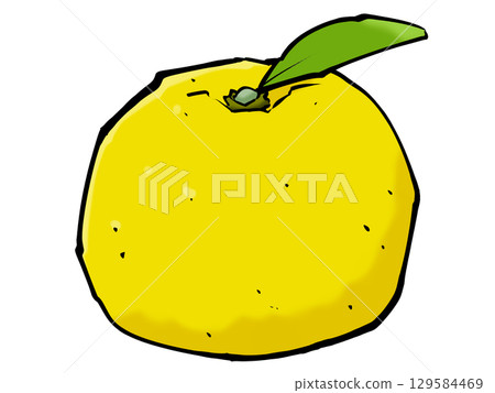 Brush Yuzu Winter Fruit Citrus Fruit Brush Yuzu Winter Fruit Citrus Fruit 129584469