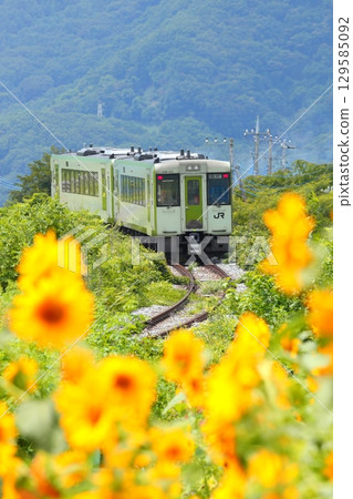 行駛在向日葵田間的小海線列車 129585092
