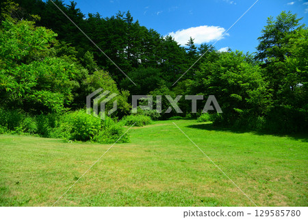 Karasugawa Valley Green Space in Summer Karasugawa Valley Green Space in Summer 129585780