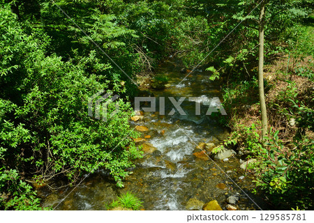 Karasugawa Valley Green Space in Summer Karasugawa Valley Green Space in Summer 129585781