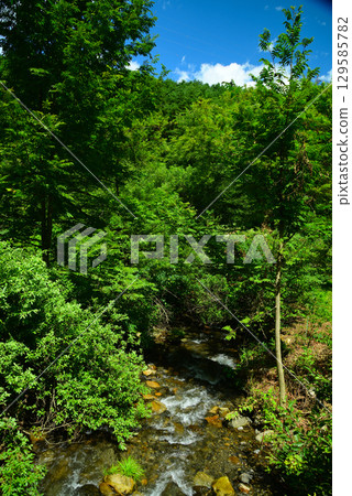 Karasugawa Valley Green Space in Summer Karasugawa Valley Green Space in Summer 129585782