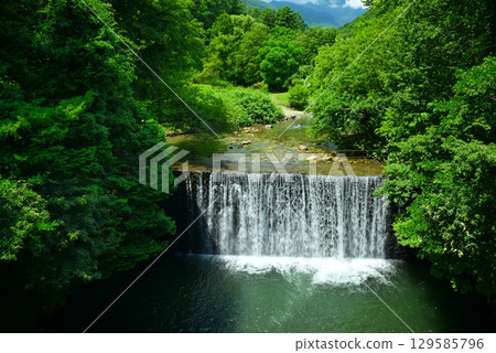 夏日的烏川溪谷綠地 129585796