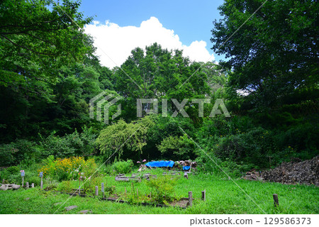 Tennomori Izumi Park in summer Tennomori Izumi Park in summer 129586373