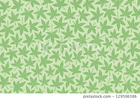 背景材料：楓葉、新綠、夏天 129586386