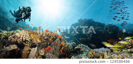 Scuba Diver Swimming in Deep Sea with Sunrays and Beautiful Coral Reef with Colorful Fishes 129586486