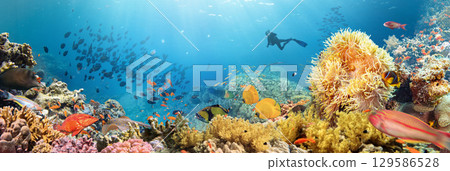 Underwater Tropical Corals Reef with colorful sea fish. Marine life sea world. Tropical colourful underwater seascape. 129586528