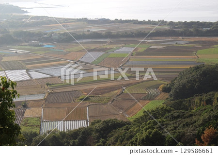 Awaji Island Autumn Tourism Hyogo Prefecture 129586661