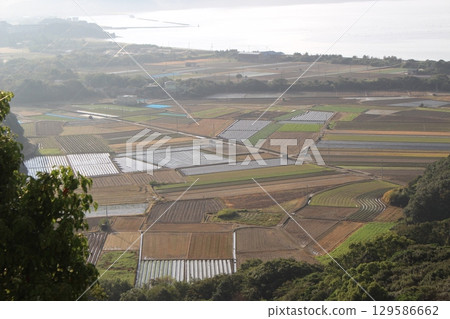 Awaji Island Autumn Tourism Hyogo Prefecture 129586662