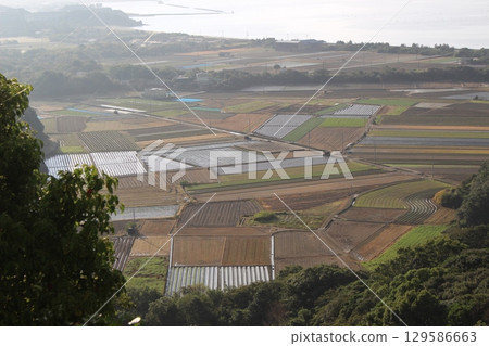 Awaji Island Autumn Tourism Hyogo Prefecture 129586663