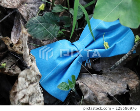 Formal Bow Tie Against Rustic Nature Background 129586976