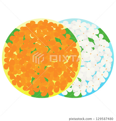 桂花銀桂花的彩色插圖 129587480