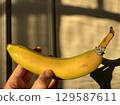Sparkling diamond ring with banana in warm golden tones 129587611