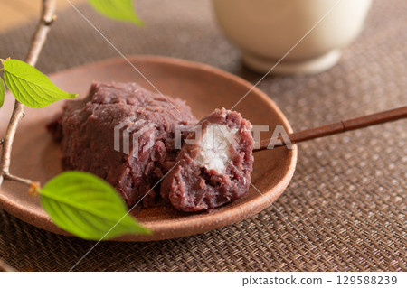 紅豆萩的橫切面 紅豆萩的橫切面 129588239
