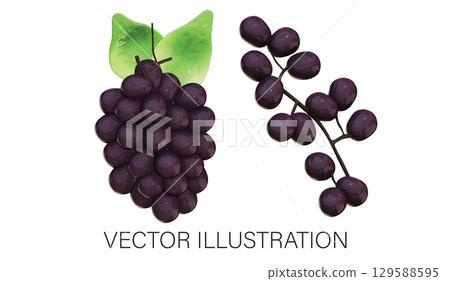 Realistic 3D Grape Set: Bunch and Twig Illustration with Transparent Background 129588595