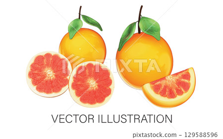 Realistic 3D Grapefruit Set: Whole, Halved, and Quarter Slice Illustration with Transparent Background Realistic 3D Grapefruit Set: Whole, Halved, and Quarter Slice Illustration with Transparent Background 129588596