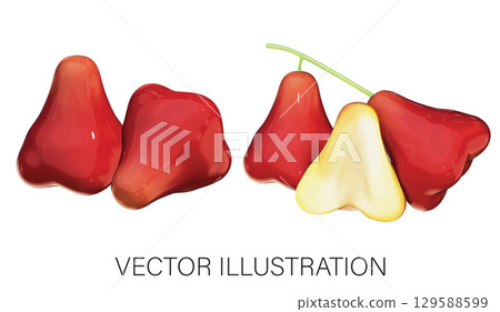 Realistic 3D Java Apple (Chompoo) Set: Whole and Halved Illustration with Transparent Background 129588599