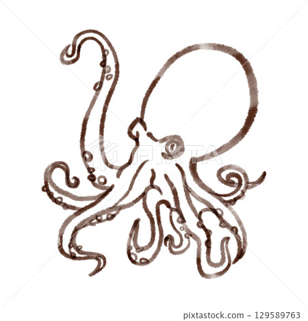 Simple octopus illustration (line drawing) 129589763