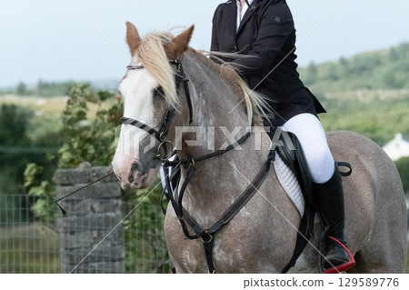 Riding in the highlands of County Donegal m- Ireland 129589776