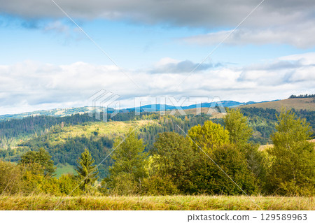calm autumn forenoon in carpathian mountains. adventure in woodland. landscape with trees on the grassy hills in yellow foliage. rolling scenery of countryside of ukraine under blue sky with clouds 129589963